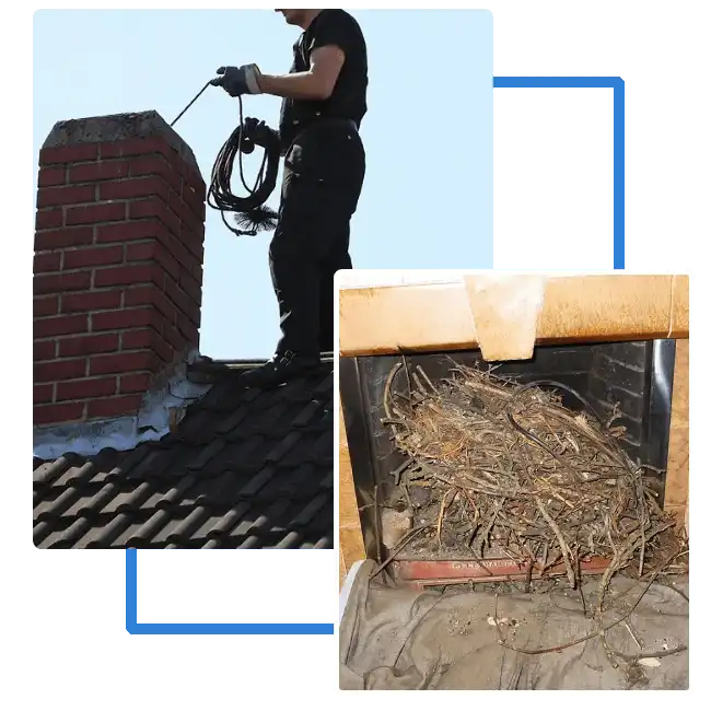Chimney-nest-removal