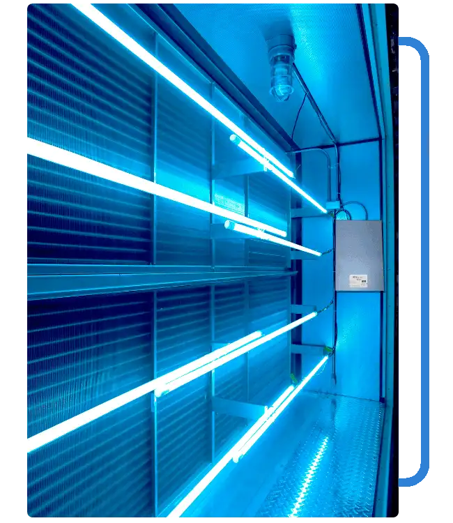 UV-Light-benefits-1-1
